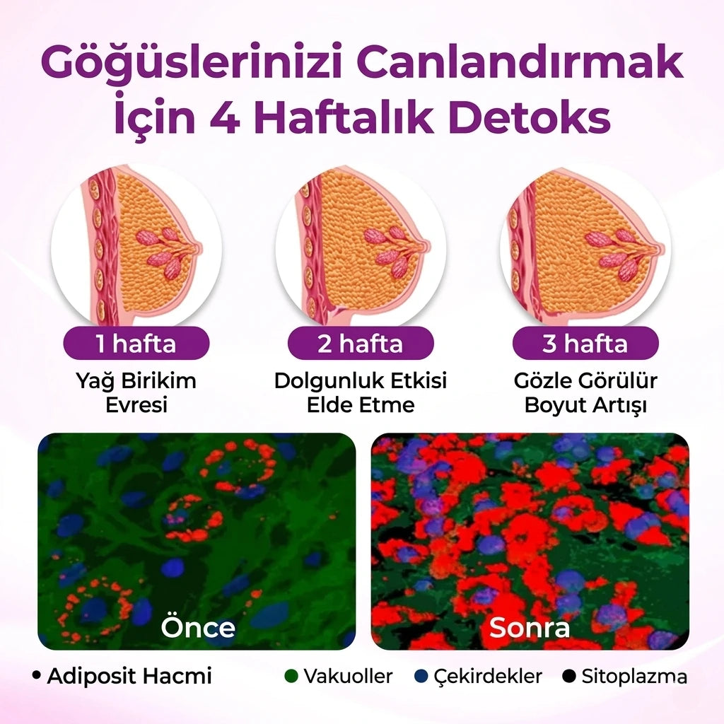 Timilk® MaxCurve Şekillendirici & Dolgunlaştırıcı Göğüs Yağı