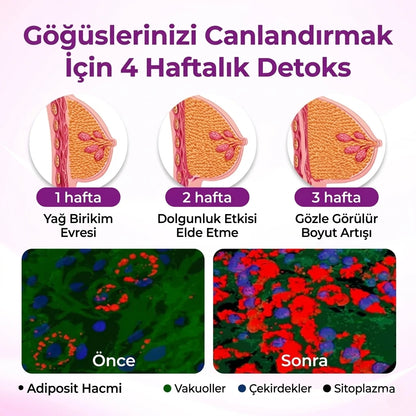 Timilk® MaxCurve Şekillendirici & Dolgunlaştırıcı Göğüs Yağı
